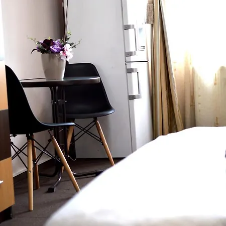 Studio Ratiu Napoca Apartment