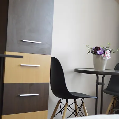 Studio Ratiu Napoca Apartment Cluj-Napoca