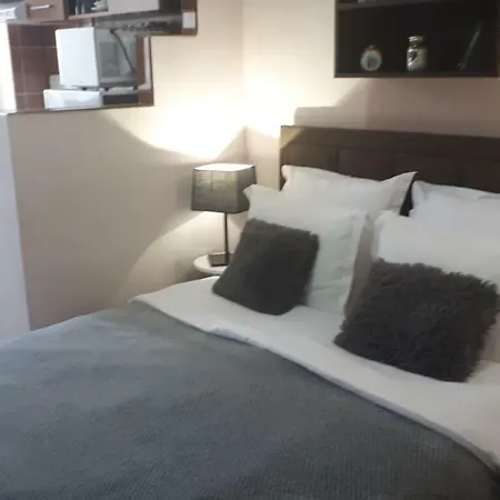 Studio Ratiu Napoca Apartment