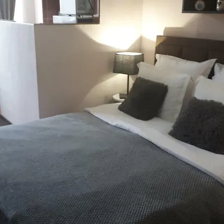 Studio Ratiu Napoca Apartment